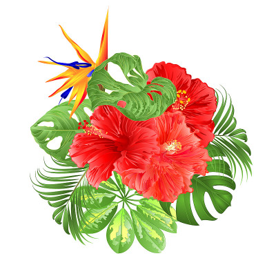 花束与热带花卉，花卉安排与斯特丽齐和粉红色木槿棕榈，philodendron和Schefflera和