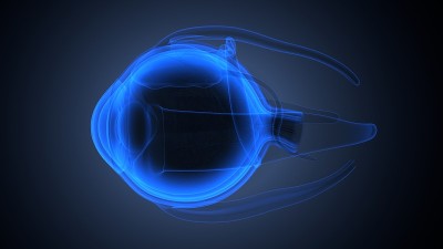 男性人眼解剖的3d渲染。