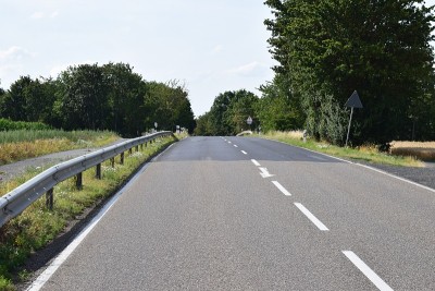 路在夏天