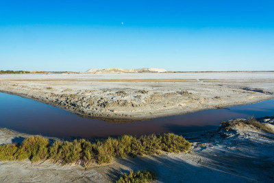 Camargue