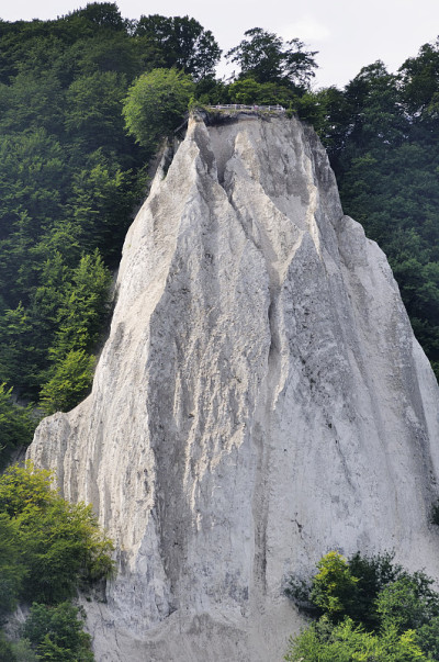 鲁根