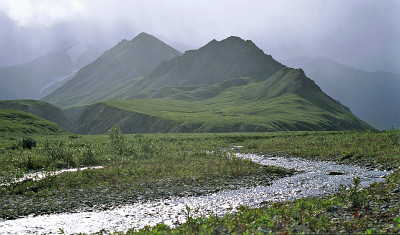 绿色的山和小溪在阿拉斯加，美国