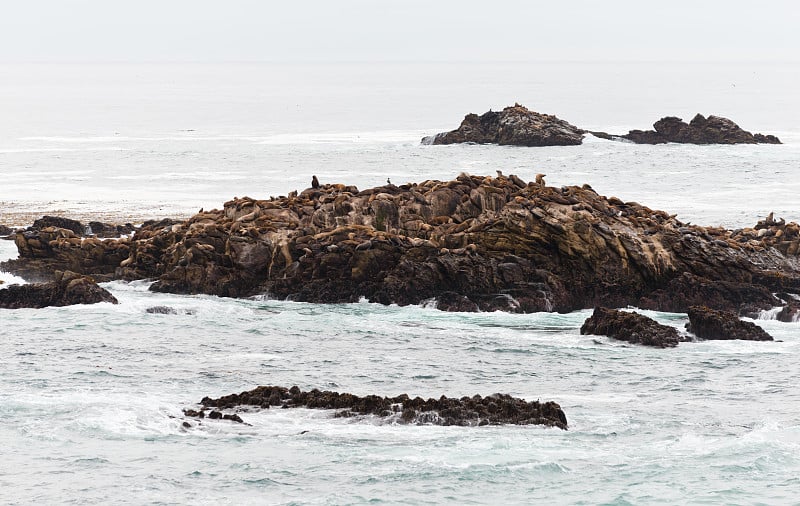 Point Lobos State Reserve