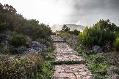 去马德拉的Pico do Arieiro的路