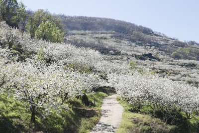 跳进杰特山谷