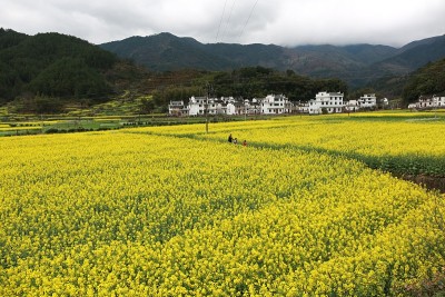 婺源山水在中国的春天