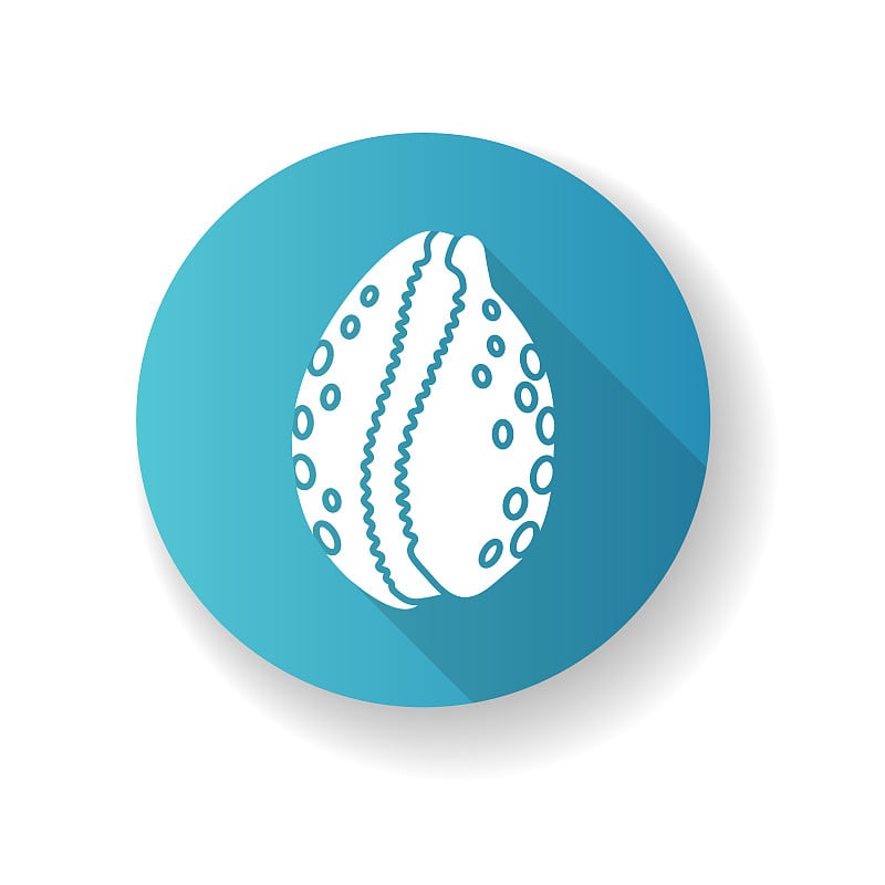 Cowrie shell blue flat design long shadow glyph ic