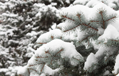 降雪