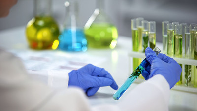 生化学家观察植物与蓝色液体，防腐剂，反应