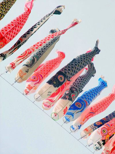 鲤鱼等浮电缆