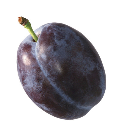 李子