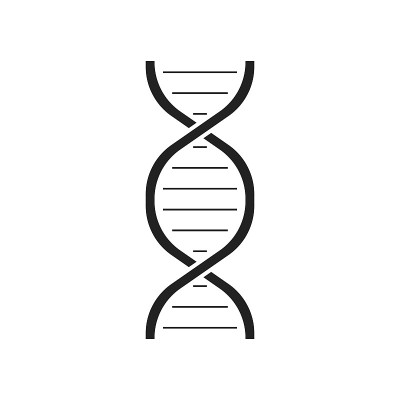 Dna矢量图标。医学分子平面插图。