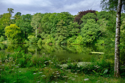 在英国西约克郡的Harewood房屋信托地区，树木、树叶和鱼塘的美丽风景