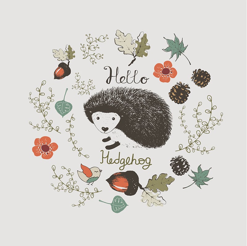 helloHEDGEHOG