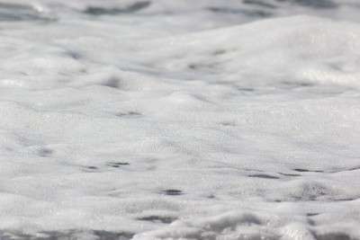 海