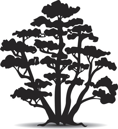树的轮廓。矢量插图。