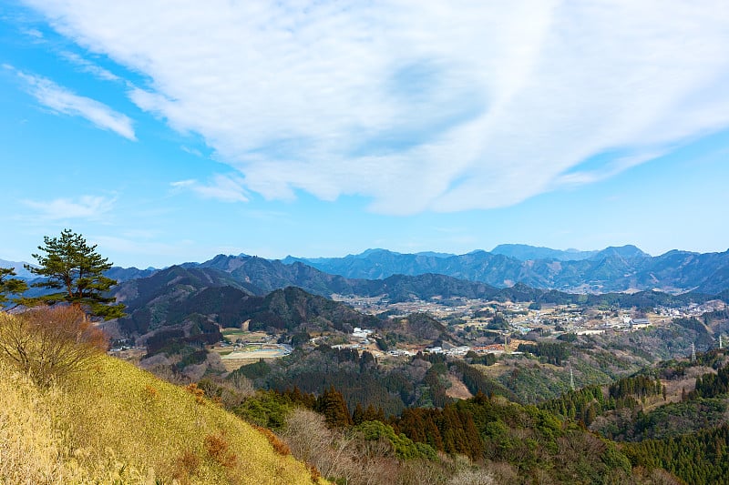 高知卓