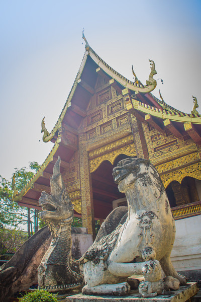 兰那风格的佛教教堂在佛寺(狮子佛)与蓝色的天空背景。Wat Phra Singh是一个重要的佛教寺庙