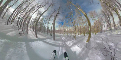POV:滑雪通过一个田园诗般的森林在鹿谷，犹他州。