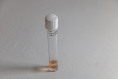 新型冠状病毒试管