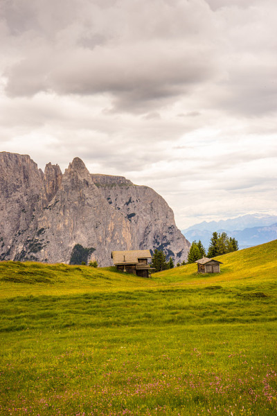 吹口哨的Alpe，和Sassolungo Langkofel Dolomite一起
