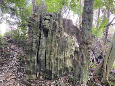 岩石