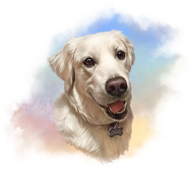拉布拉多猎犬