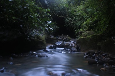 长时间曝光的热带溪流显示绿色植物和岩石在亚马逊雨林