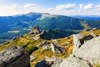 山