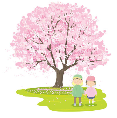幼儿园小朋友面前的樱花树盛开着