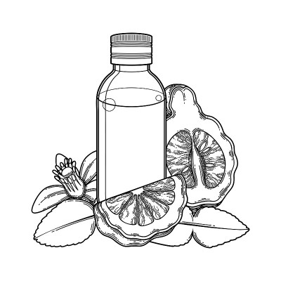 图形油瓶周围的佛手柑水果，树叶和花
