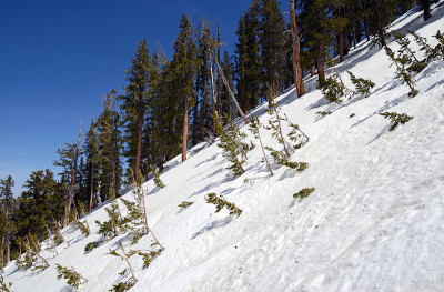 冰雪覆盖的高山地形格里菲斯峰附近的查尔斯顿山地区的查尔斯顿峰，受欢迎的徒步旅行和攀登地点，在内华达州