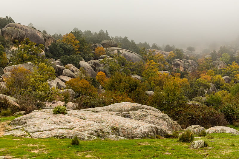 在瓜达拉马地区，马德里山区的秋天风景被称为La Pedriza