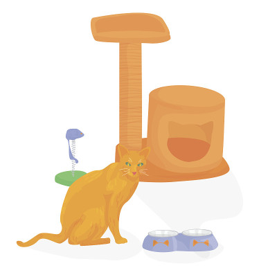 插图上的猫坐在白色背景上的一座小房子上