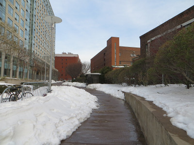 舍弗的住宅综合体，庭院和花园被雪覆盖