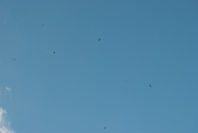 高空飞行表演