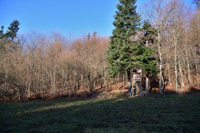 森林草地中打猎用的隐藏的木制小屋