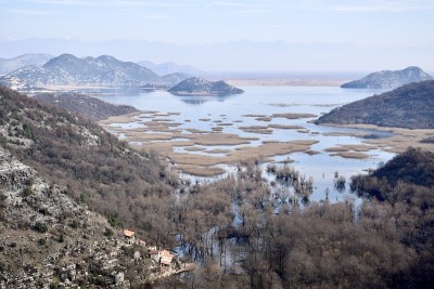 湖Skadar,黑山