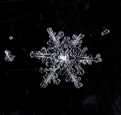 自然的雪花