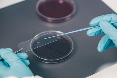 微生物学家在有盖培养皿中接种琼脂