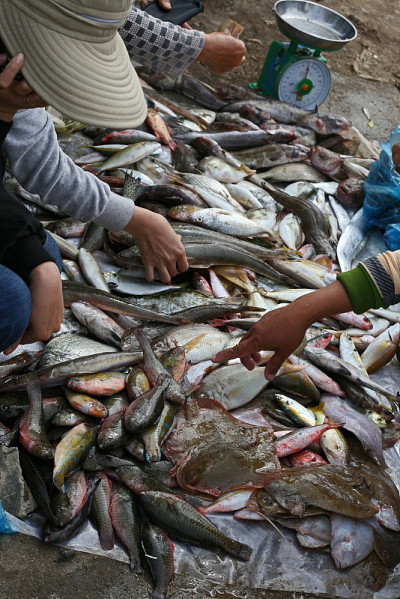越南海鲜市场