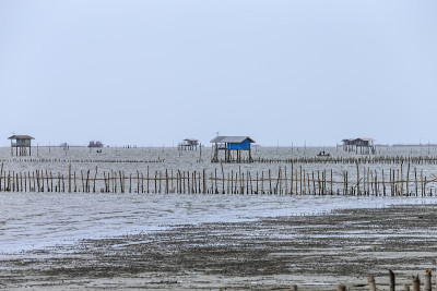 小舟农场