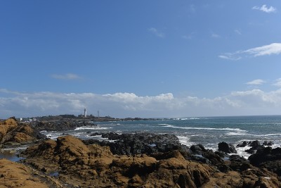 野岛岬