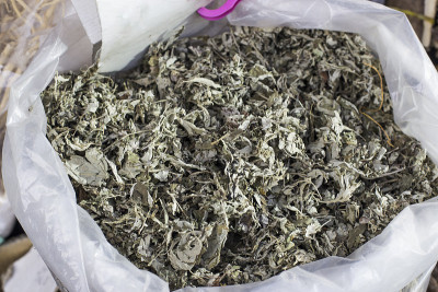 艾叶，市场上出售的中草药。