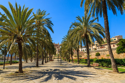 西班牙马略卡岛的Palma de Majorca老城，公园里的一条小巷