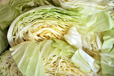 包心菜