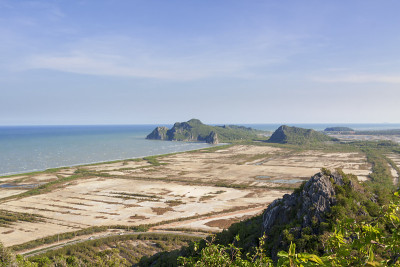 山