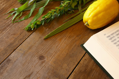 犹太人住棚节。传统符号(四种):Etrog, lulav, hadas, arava