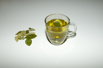 古柯叶茶