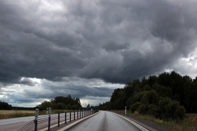 在暴风雨森林景观道路上的强风暴天气